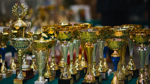 Aga Khan Trophy 100 Tahun: Menyelami Dampak Sejarah dan Peluang Masa Depan Lomba Berkuda Ikonik Irlandia
