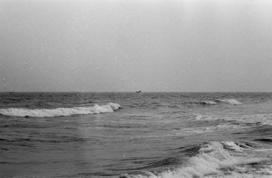 Davos Memanggil: Misi Jagan Mohan Reddy untuk Investasi Triliunan di Andhra Pradesh