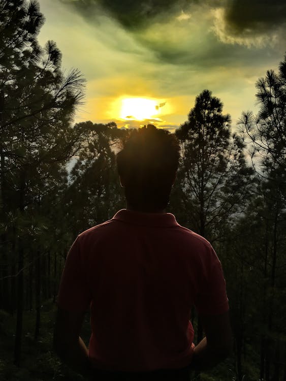 Wrexham Guncang Dunia Sepak Bola: Hibah Rp 300 Miliar dari Pemerintah Wales, Ini Revolusi Sesungguhnya!