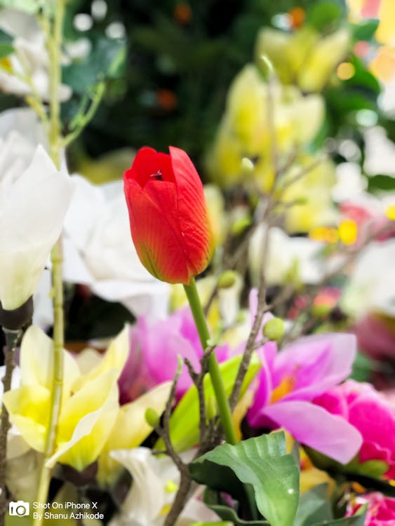 Geger! 12 Perusahaan Terindikasi Dalang Banjir Besar Sumatera: Akankah Keadilan Lingkungan Ditegakkan?