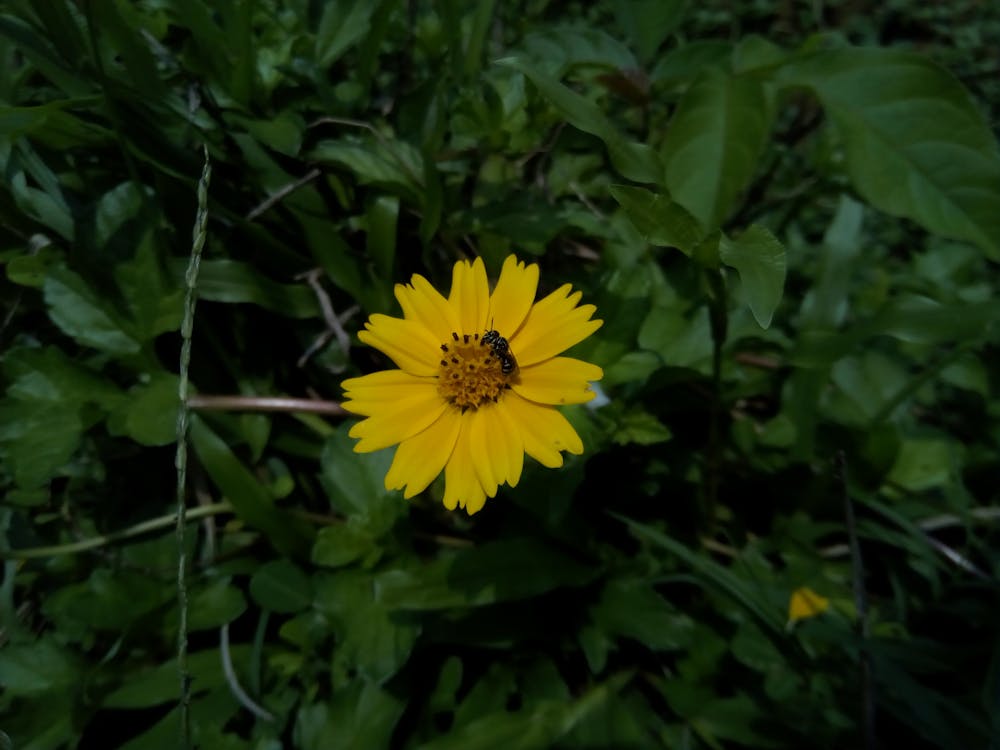 Ribuan Guru Madrasah Mengguncang Monas: Tuntut Pengangkatan PPPK/ASN, Akankah Keadilan Ditegakkan?