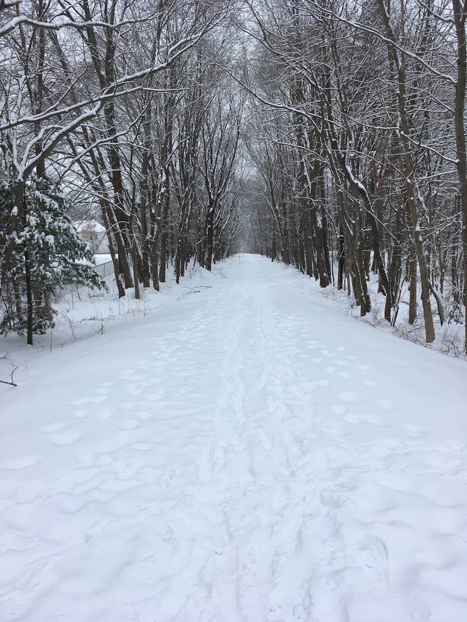 Manokwari di Bawah Sorotan: Prabowo Pimpin Rapat Keamanan Tingkat Tinggi Jelang Kunjungan Jokowi
