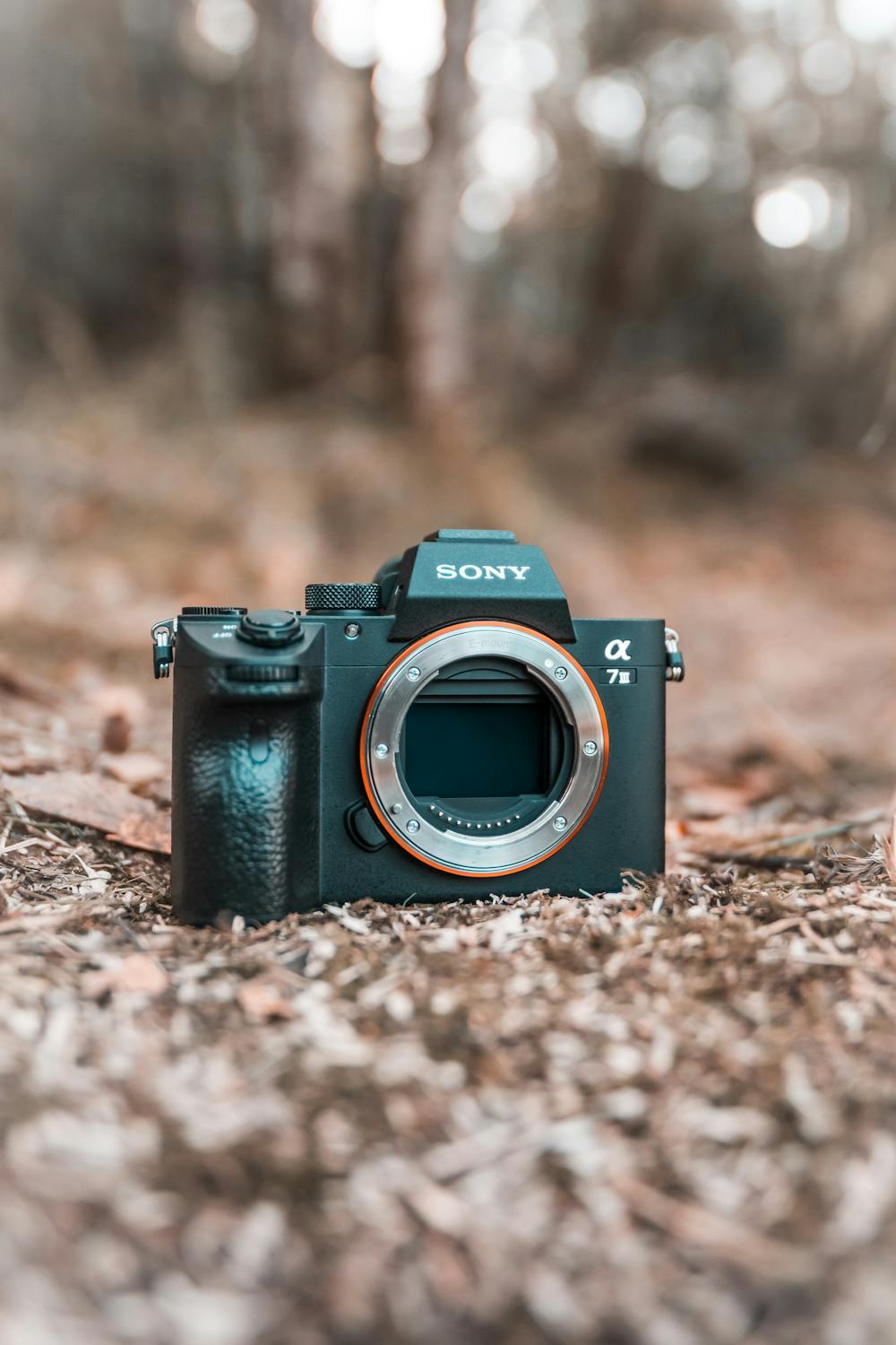 WASPADA! Serangan Siber DIMULAI, Microsoft Rilis Update Darurat Windows – Segera Lakukan Ini!