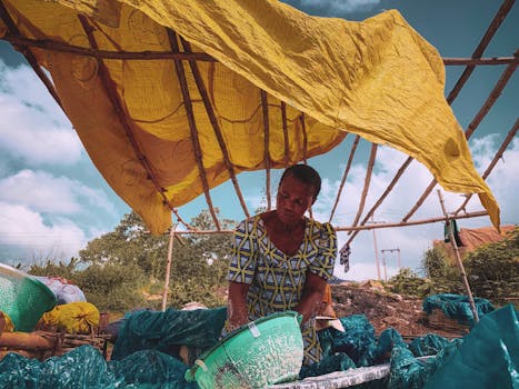 Ogun Juara Nasional: Lebih dari 2000 Kelompok Perempuan Terdaftar, Menginspirasi Perubahan Besar!