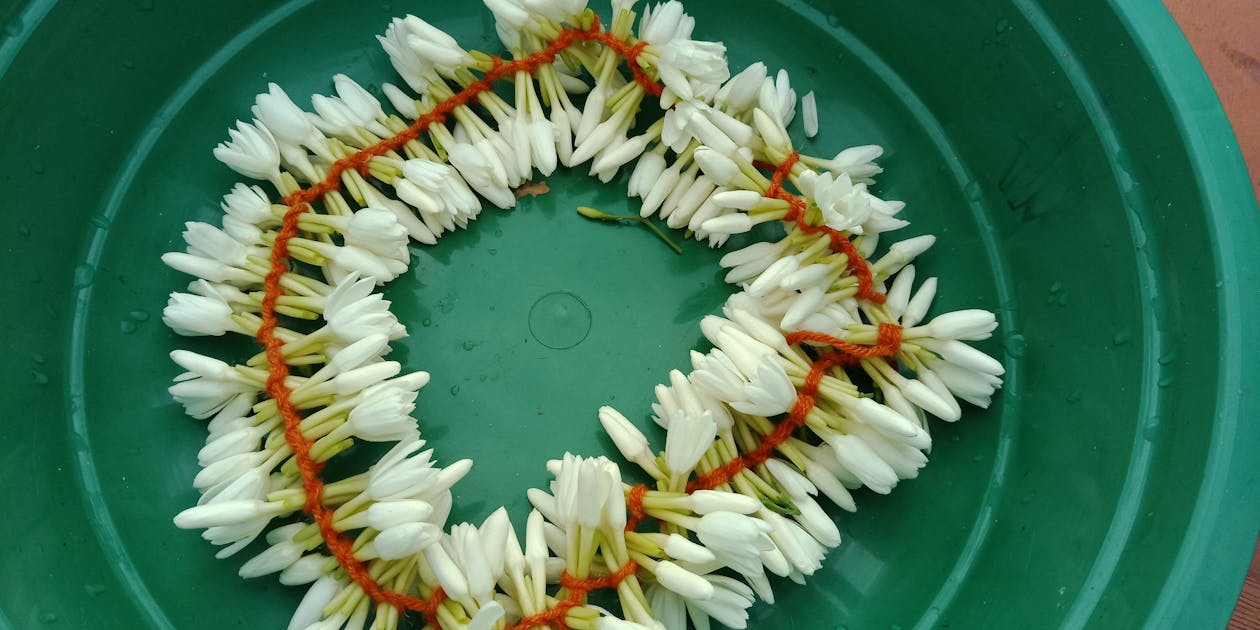 Dasco di Kongres Projo: Mengurai Konsolidasi Dukungan untuk Prabowo-Gibran dan Arah Politik Pasca-Pemilu