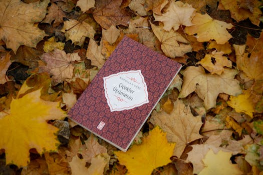 Pergeseran Pembiayaan Film: Bagaimana Algoritma Membentuk Masa Depan Hiburan Anda?