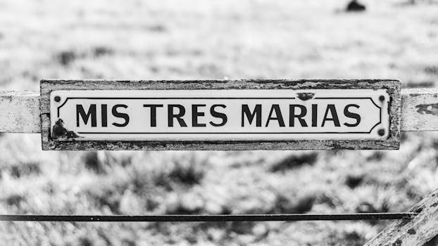 Amazon Mengganti 'Just Walk Out' dengan Dash Carts: Akhir Era Kasir Virtual atau Evolusi Belanja?