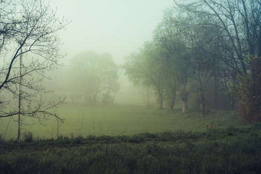 Astar DEX (Aster) Luncurkan Program Buyback Mega: Akankah Token ASTAR Meroket?