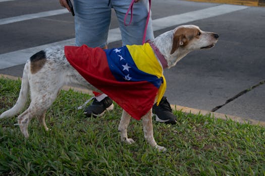 Badai Politik Venezuela: Balasan Delcy Rodriguez atas Tuntutan AS terhadap Maduro