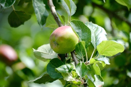 Membongkar Masa Depan Apple: Bocoran dan Spekulasi dari Happy Hour #572