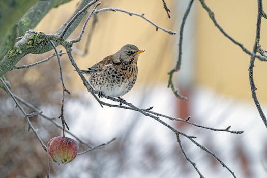 Apple Menggandeng Google Gemini untuk Siri: Aliansi Tak Terduga yang Siap Mengubah Segalanya?