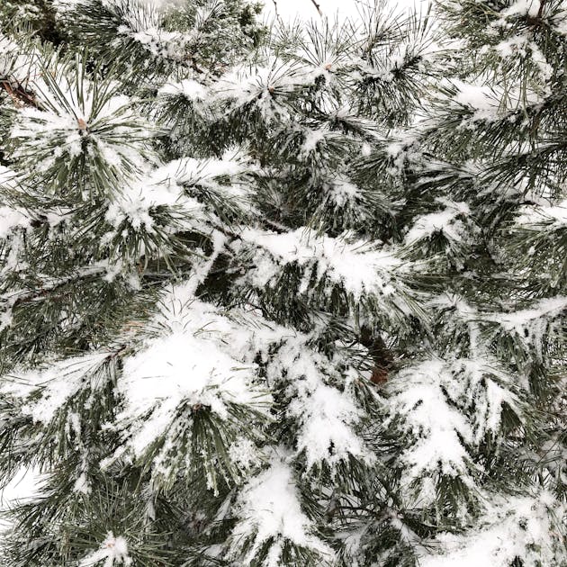 Jangan Sampai Ketinggalan! Diskon Besar-besaran Gadget & E-Reader: Boox, Lenovo, dan Lainnya Siap Memanjakan Dompet Anda!