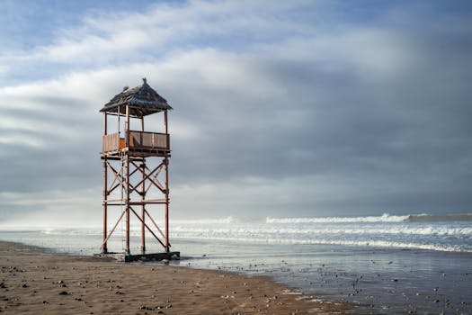 Revolusi AI Mengguncang Pasar Kerja: Siapkah Anda Menghadapinya?