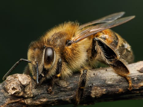 Turnpike: Mendorong Batas Efisiensi Pengembangan API Python, Apa Dampaknya?