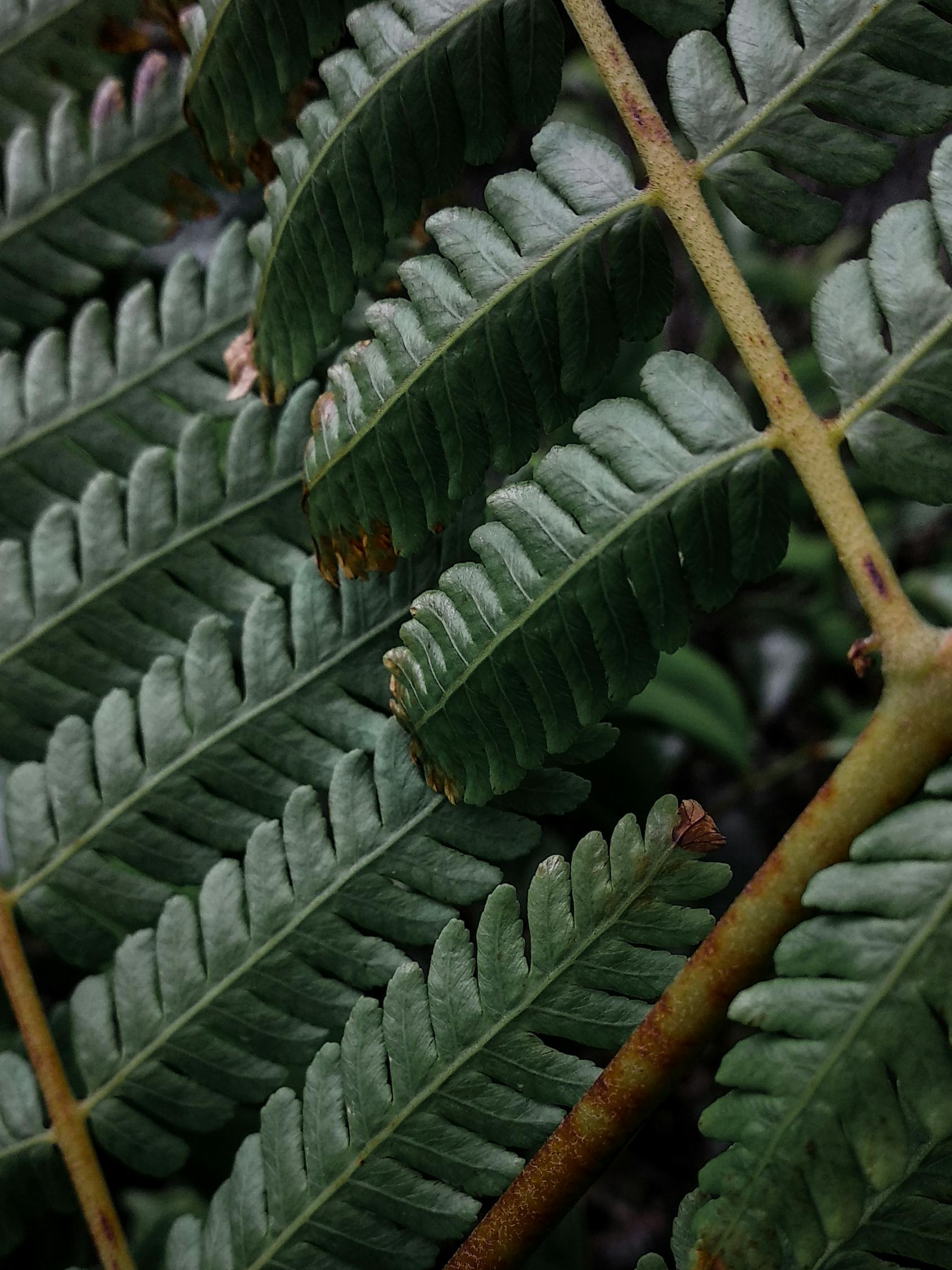 Defisit US$44 Miliar: Ujian Berat Arab Saudi Menuju Era Pasca-Minyak?