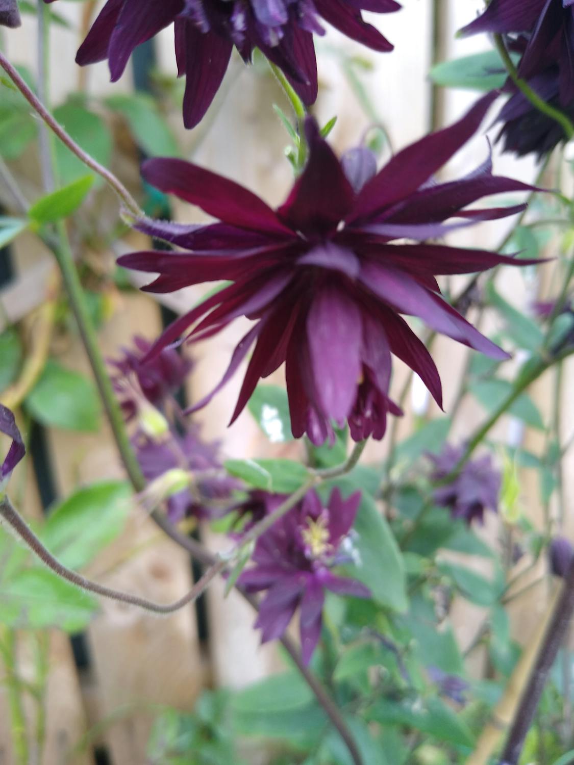 Wakapolri Akui 'Rapor Merah' Polri: Saatnya Kita Bicara Keadilan dan Kepercayaan Publik!