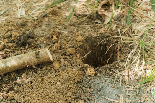 Ketika Bumi Menelan: Memahami Ancaman Lubang Ambles dan Dampaknya bagi Masa Depan