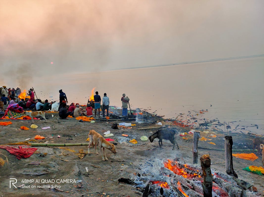 Ancaman 2033: Studi Universitas Arizona Ungkap Masa Depan Jaminan Sosial di Ujung Tanduk