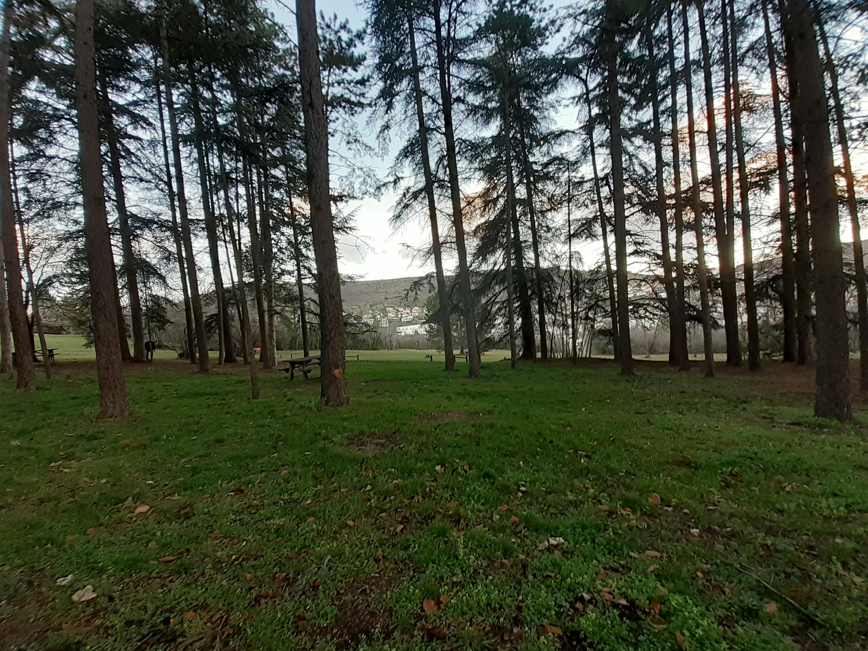 Krisis Tidur Global: Mengapa Anda Hampir Pasti Kurang Tidur (dan Cara Mengatasinya!)