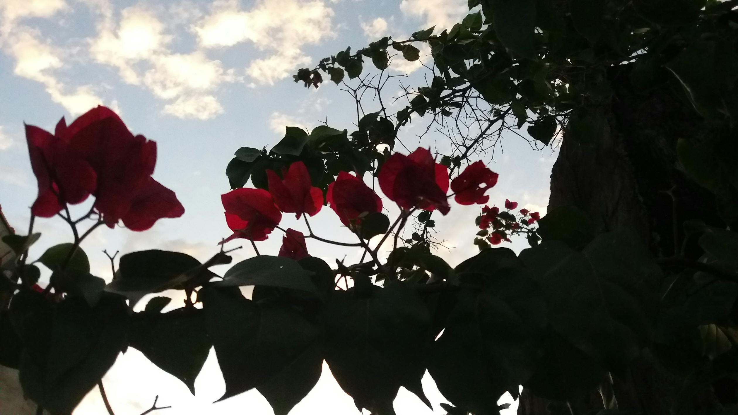 Mengintip Diskon Gila Samsung Galaxy S25 Ultra: Kapan Waktu Terbaik untuk Membeli Ponsel Impian Anda?