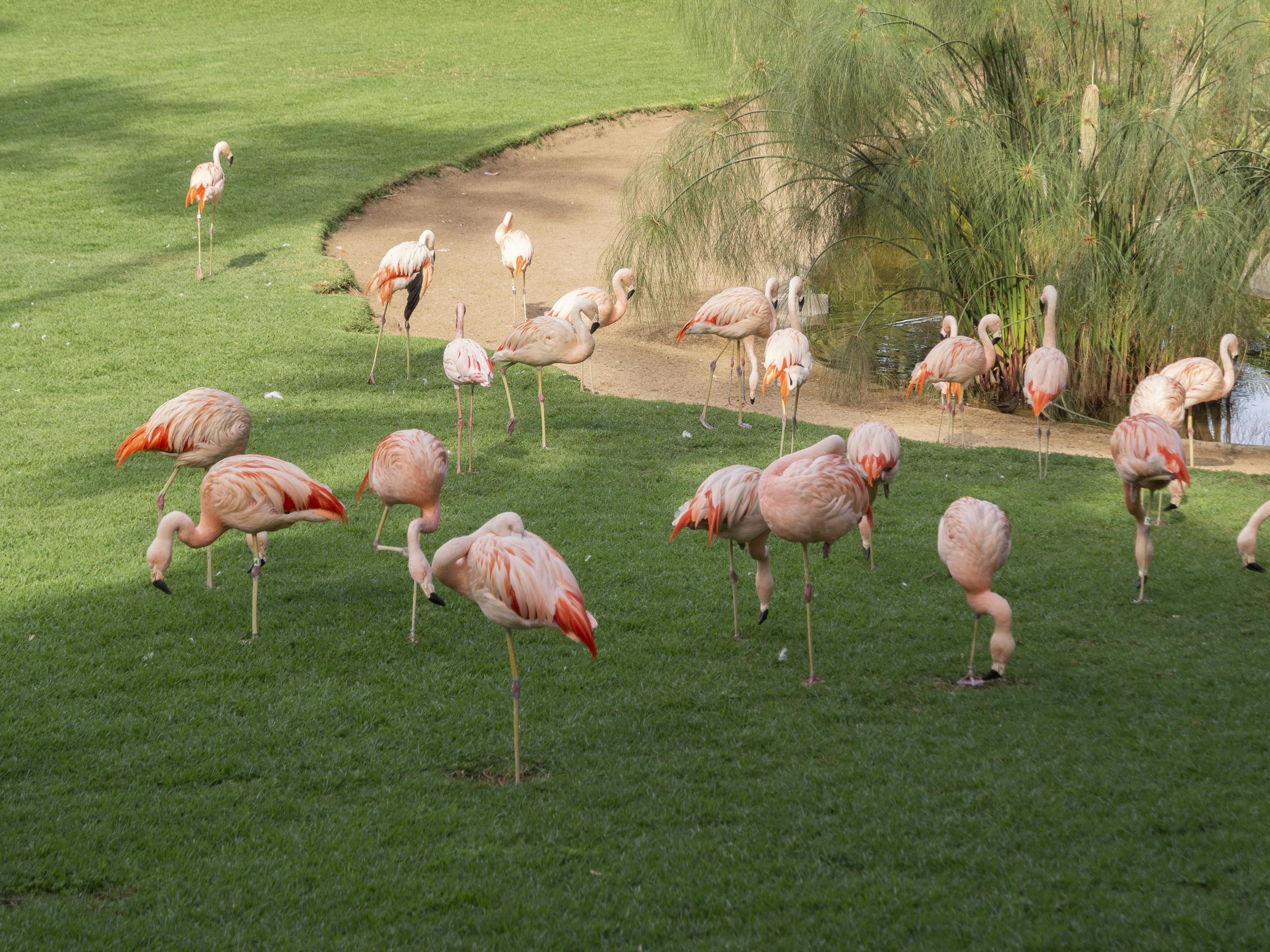 Geger Dana Rp 100 M ke PBNU: Yahya Staquf Tantang Penegak Hukum, Ada Apa Sebenarnya?