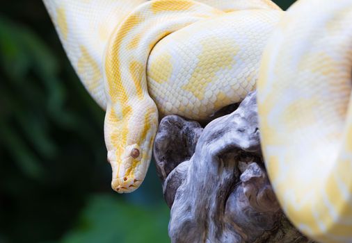 Keamanan Siber Lebih Transparan: Analisis Dampak Crypttrace 0.29.0 pada Aplikasi Python