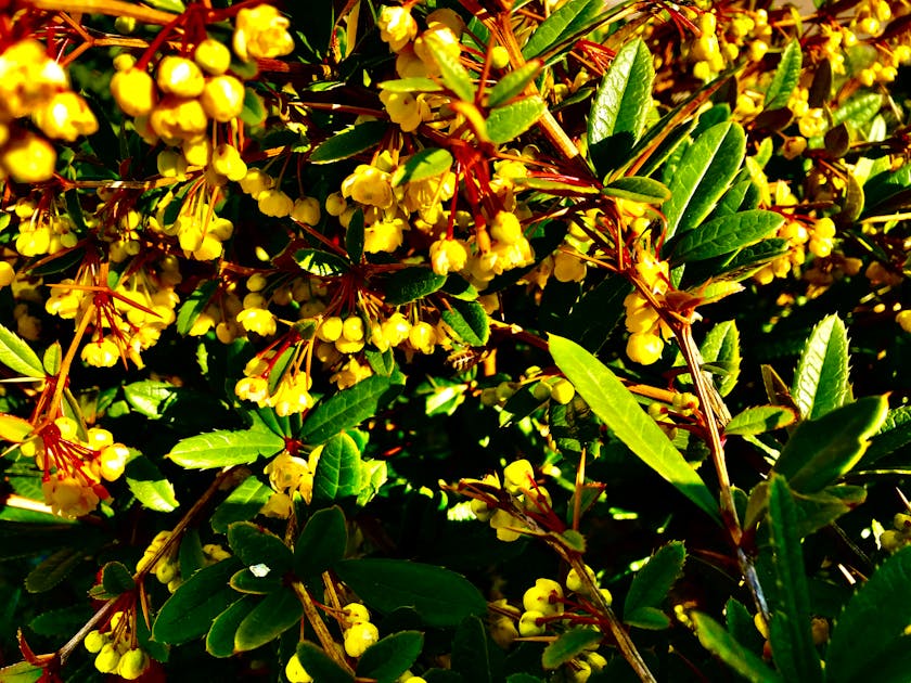 Kemensos Gerak Cepat: Kisah Nyata Solidaritas untuk Korban Longsor Jawa Tengah yang Menggugah Hati