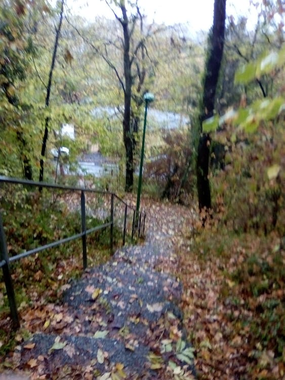 Rahasia Kekuatan Kopassus: Prabowo Ungkap Peran Vital Pelatih Judo Korea Selatan