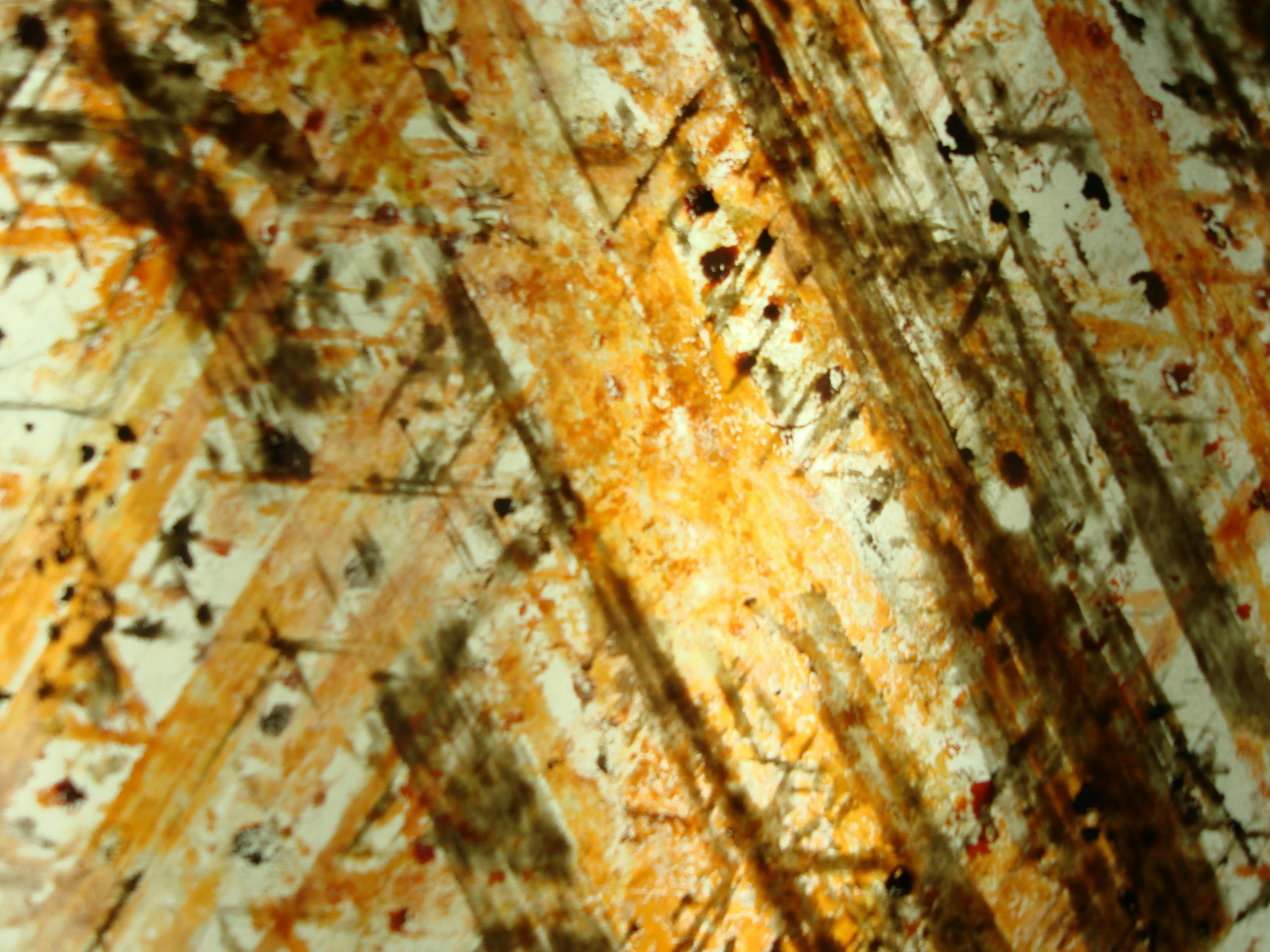 Revolusi Data Kesejahteraan Sosial: Gus Ipul Dorong Karang Taruna Jadi Garda Terdepan Pemutakhiran DTKS dan SDGs