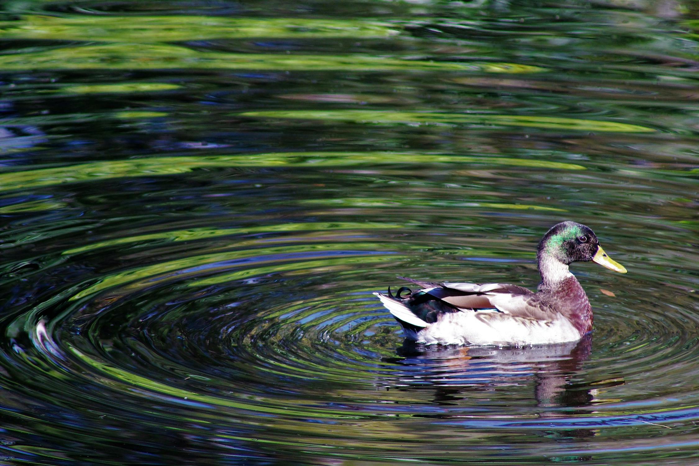 Titik Balik Integritas? Irjen Kemnaker Nyatakan Perang Terbuka Lawan Korupsi di HAKORDIA 2025: Apa Artinya Bagi Anda?