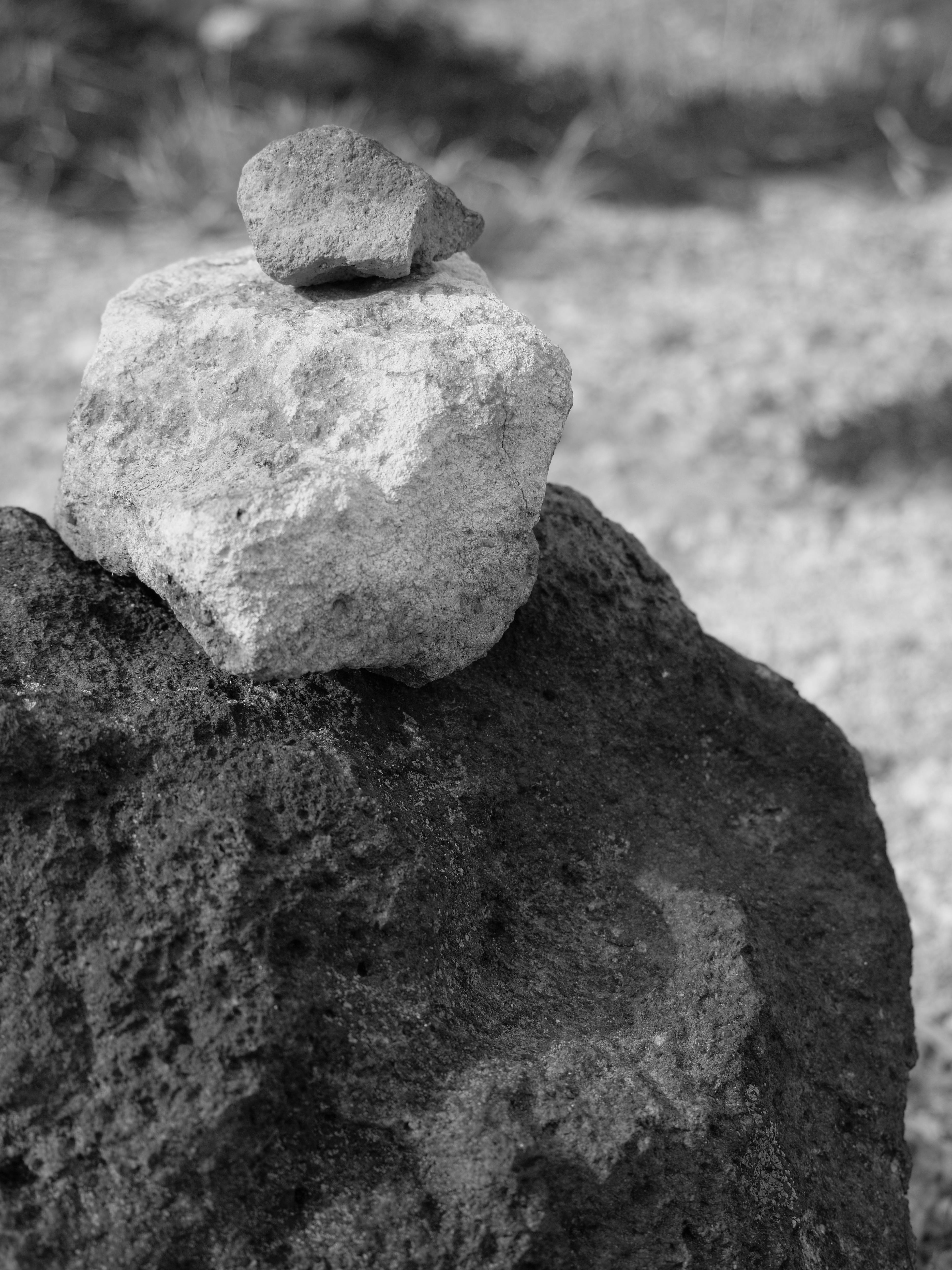 BetWhale Rewrites the Rules: Instant Payouts Build Unprecedented Trust in US Online Casinos