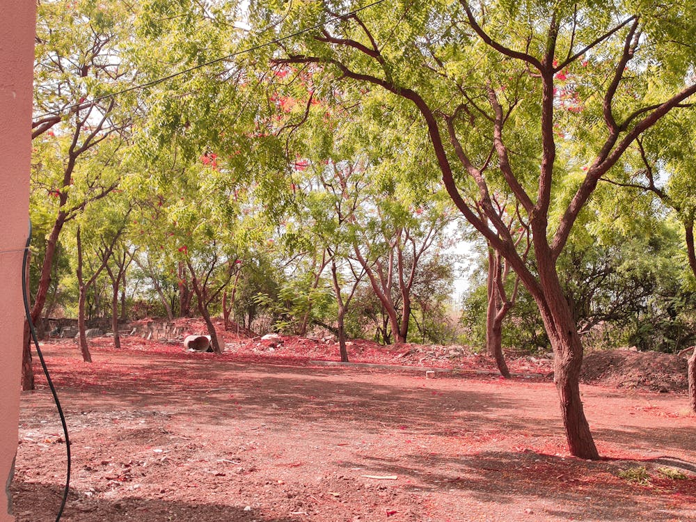 Wajah Baru Imigrasi: Dari Pengawasan Menjadi Penggerak Ekonomi Desa dan Pelindung Warga!