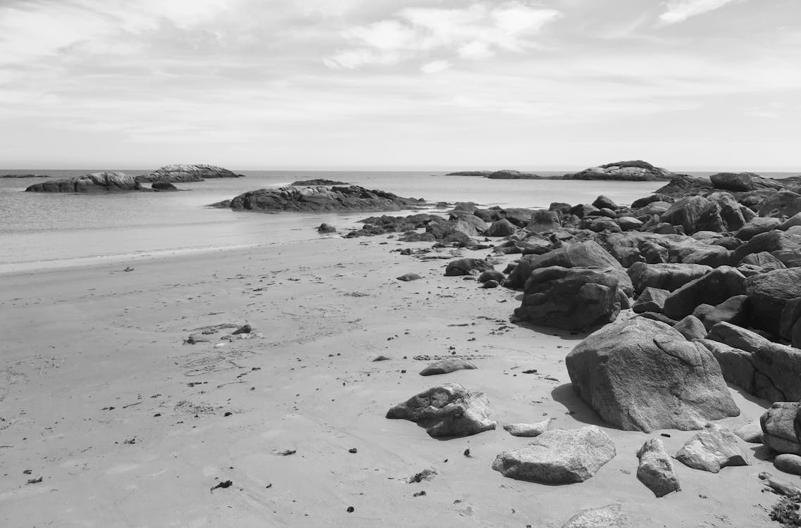 BKN Award 2023: Kemensos Sabet Penghargaan, Akankah Ini Jadi Standar Baru Birokrasi Profesional?