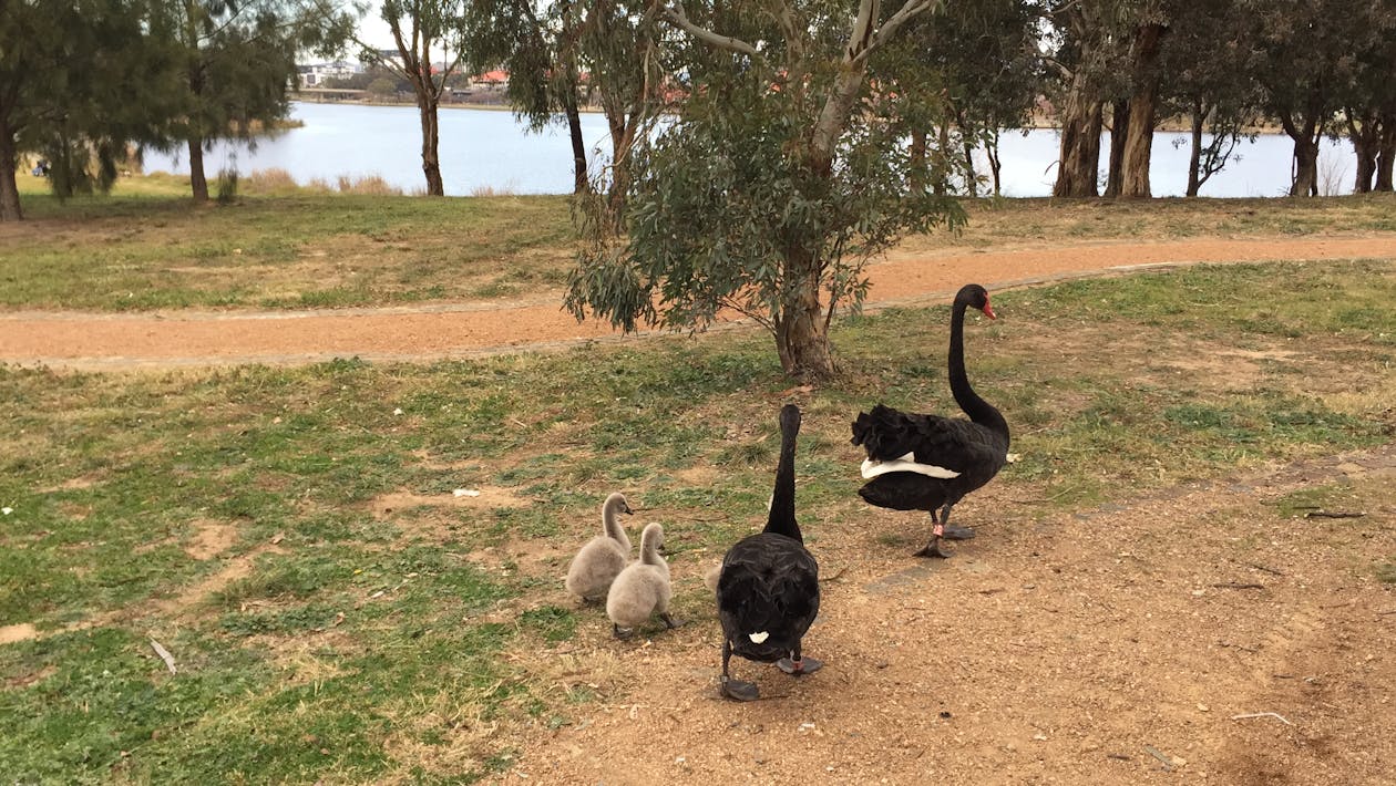 Revolusi Hijau di Papua Barat Daya: Anggota DPR Endang Setyawati Dorong Hilirisasi Pertanian, Selamatkan Petani dan Dorong Ekonomi Lokal!