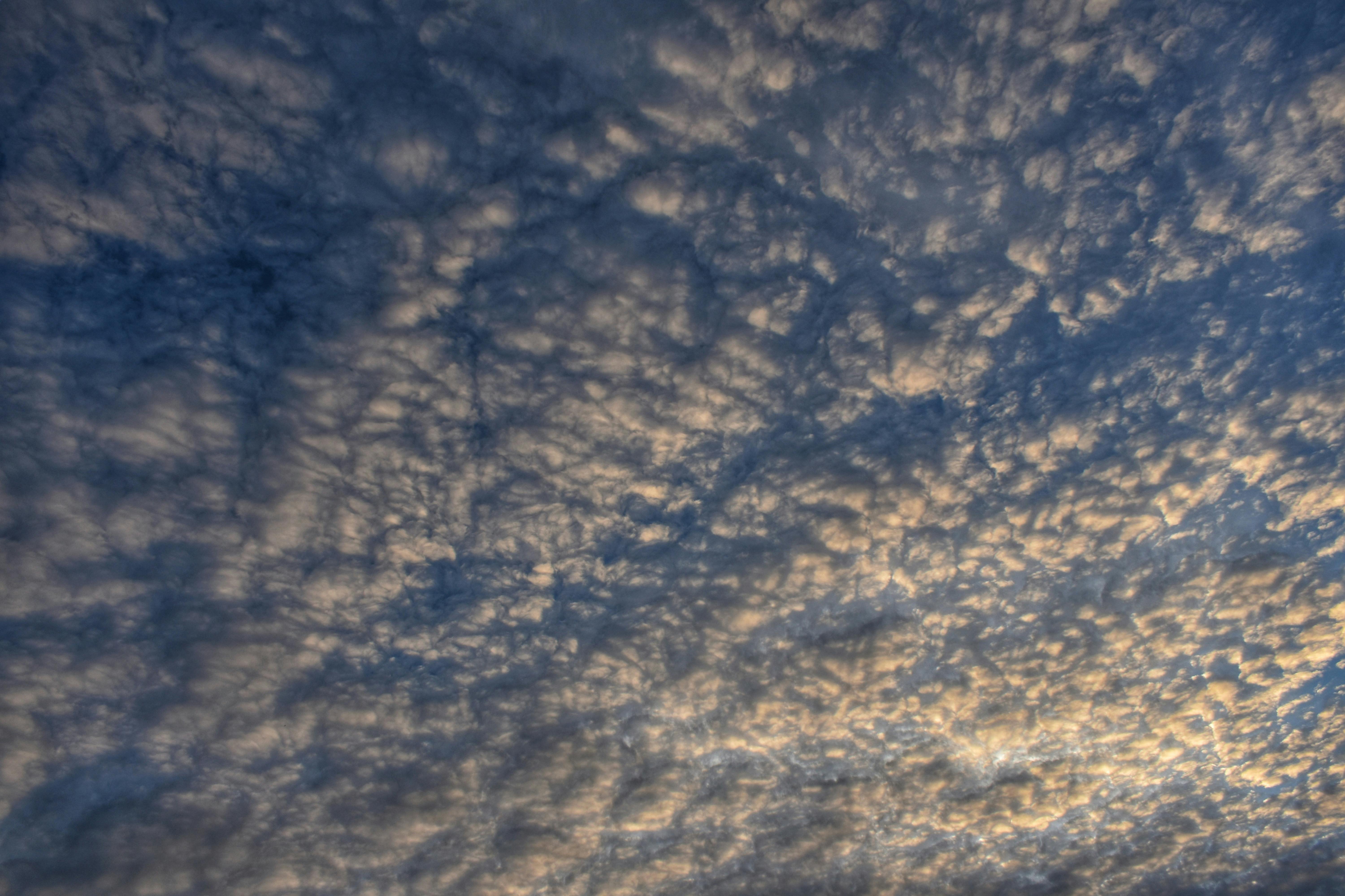 Terjebak di Labirin Persetujuan: Mengapa Halaman Consent Mengubah Wajah Internet Kita?