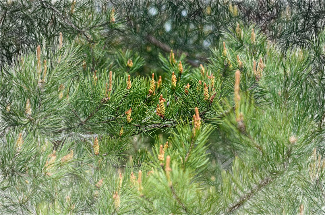 Mimpi Jadi Nyata di Jawa Tengah: Kemensos & Dinsos Perkuat Gerakan Kampung Berdaya, Ini Kisah Inspiratifnya!