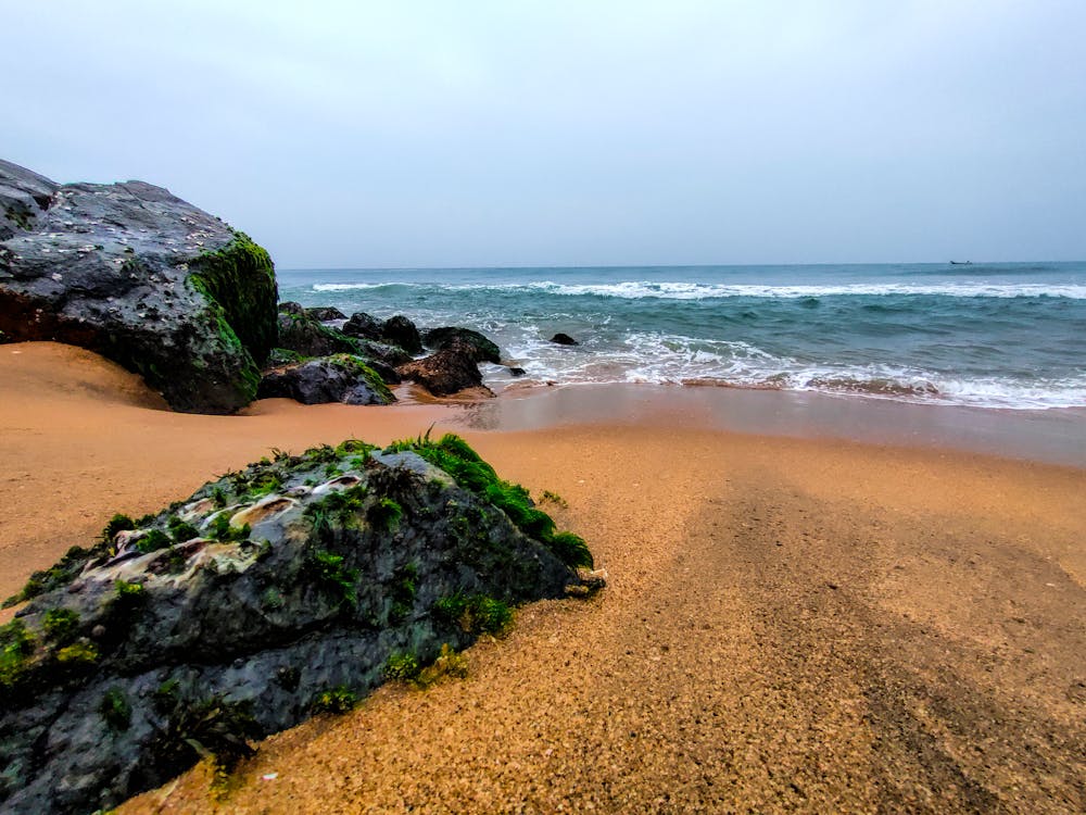 PBNU di Persimpangan Jalan: Tokoh NU Yogyakarta Ingatkan Bahaya Politik, Desak Kembali ke Khittah Ulama!