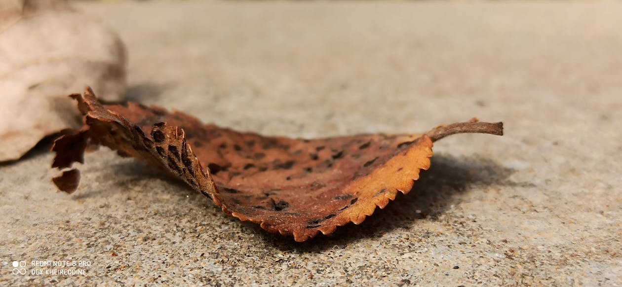 Alarm Merah Kebebasan Pers: Jurnalis dan Aktivis Batam Bersatu Melawan Gugatan Amran terhadap Tempo!