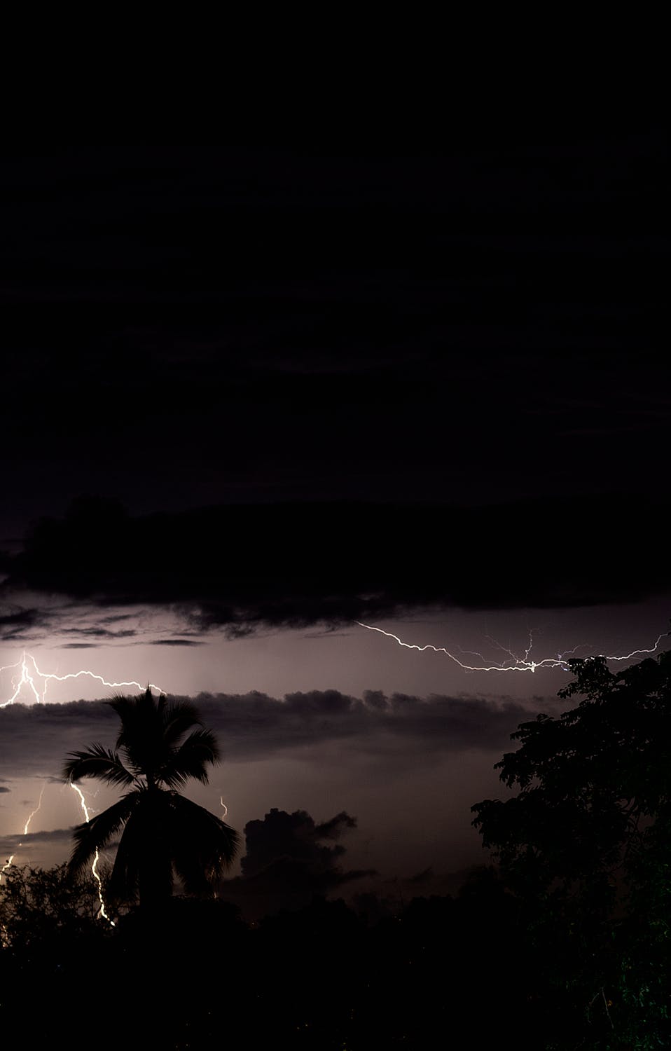 Korupsi Sebagai Pelanggaran HAM: Harapan Baru atau Dilema Hukum? ICW Bersuara!