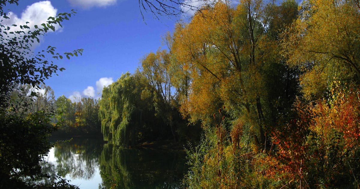 PNM Memukau! Raih Dua Penghargaan Nasional Berkat Kekuatan Pemberdayaan Perempuan Ultra Mikro Indonesia