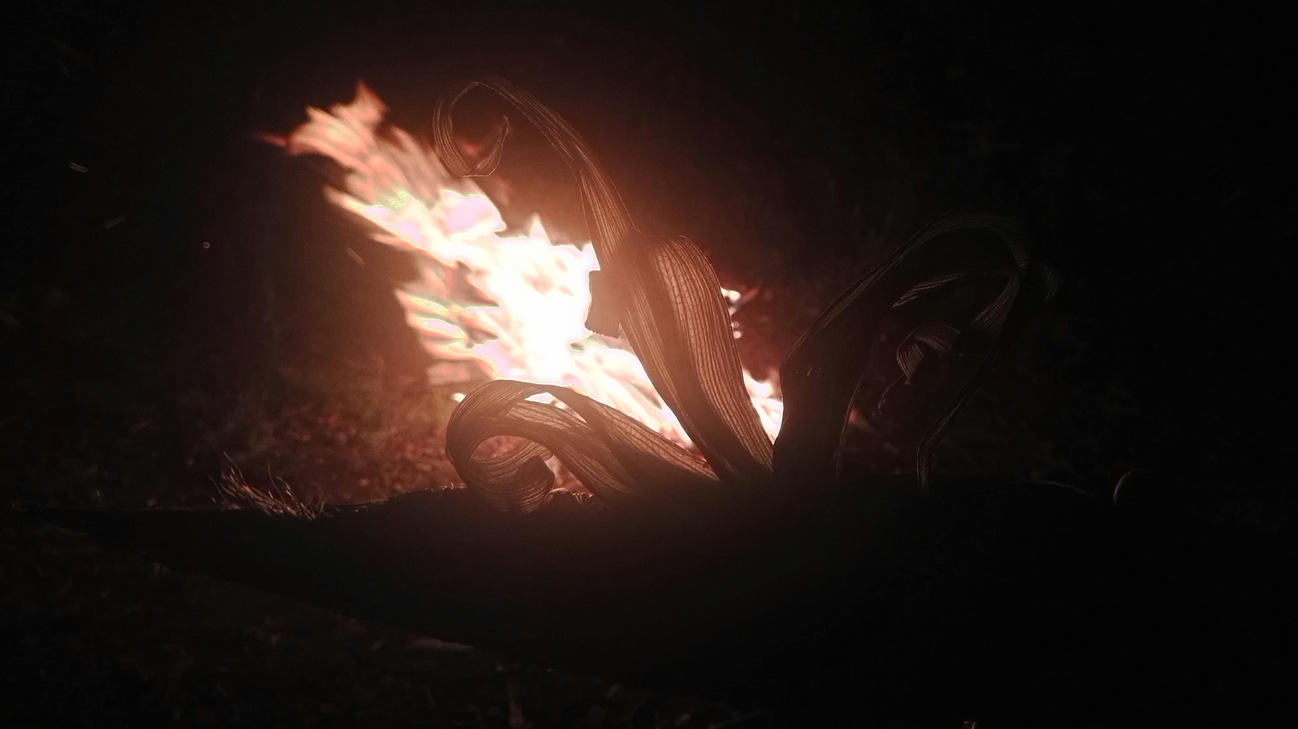 Badai Penolakan Gelar Pahlawan Soeharto: Mengapa Kontroversi Tak Kunjung Usai dan Apa Kata Bahlil?