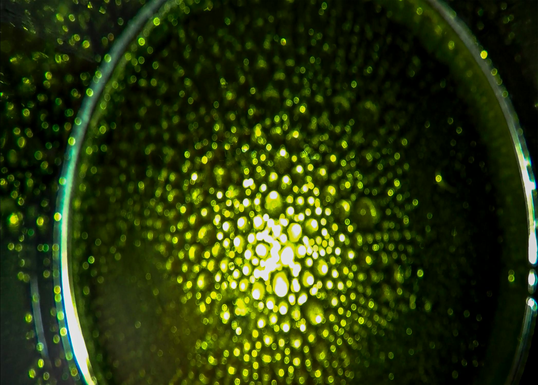 Geger Gugatan Mentan Terhadap Tempo: BEM UGM Bersuara, Demokrasi di Ujung Tanduk?