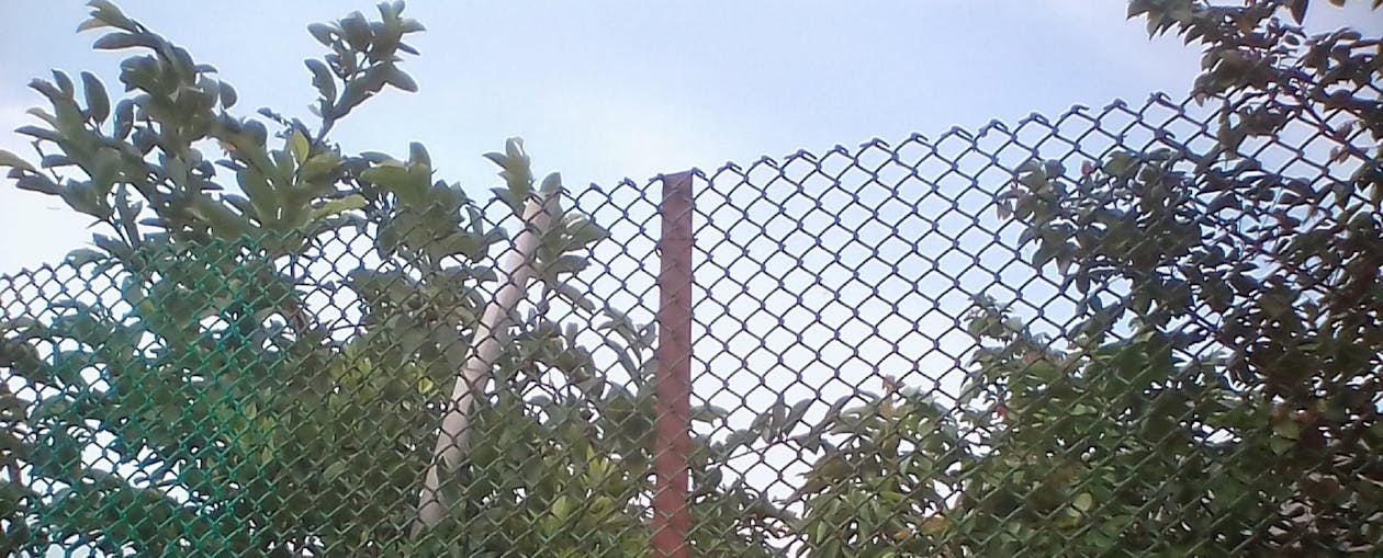 Intel di Ujung Tanduk: Strategi "Tough Love" Gelsinger Mampukah Kembalikan Kejayaan di Era AI?