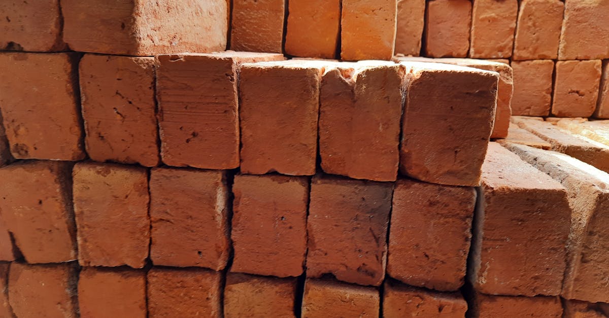 Pria Bangkit 2025: Lebih dari Sekadar Camp, Ini Adalah Gerakan Perubahan untuk Maskulinitas Modern!