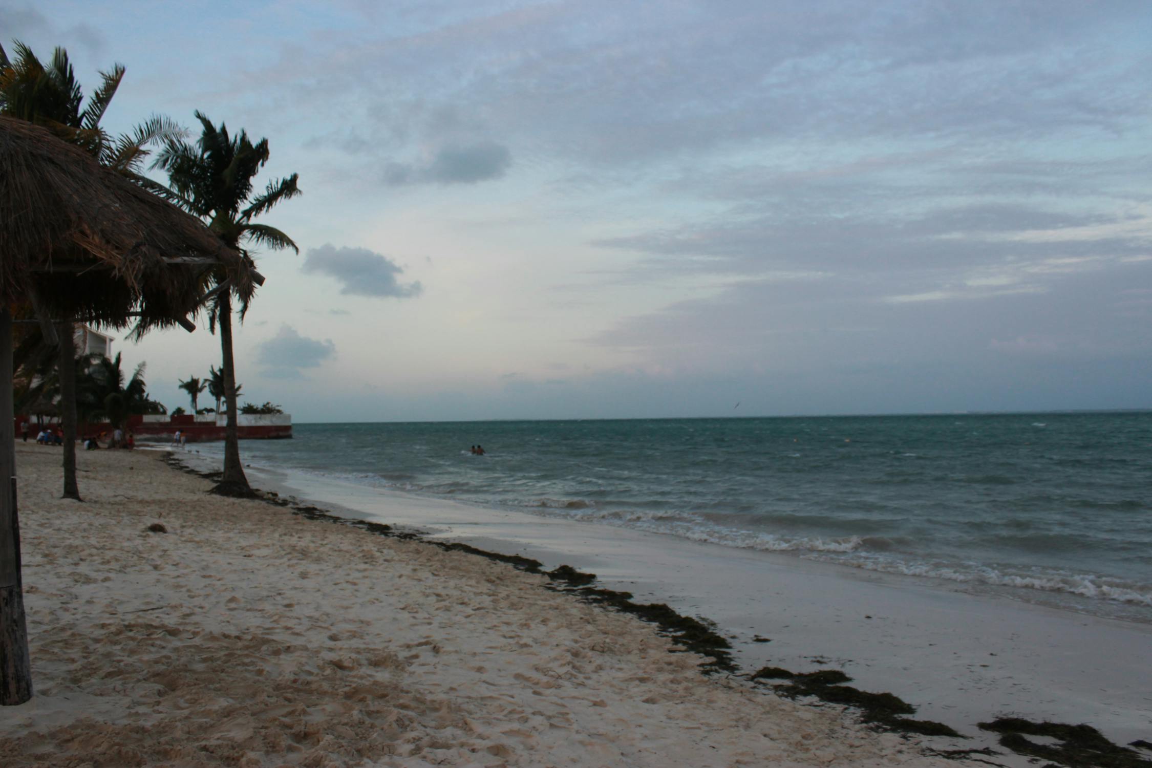 Banjir Minyak Global Sampai 2026: Mengapa Pasokan Berlimpah, Harga BBM Berisiko, dan Apa Artinya Bagi Dompet Anda!