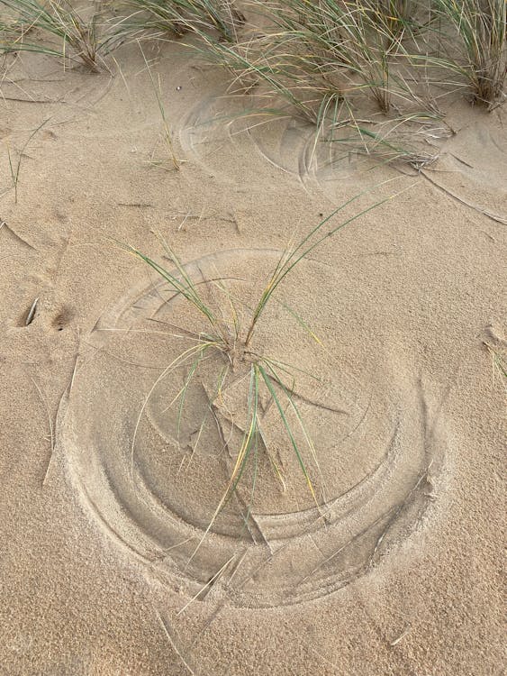 Dividen Stabil Newmont: Sinyal Kuat untuk Investor di Tengah Ketidakpastian Pasar