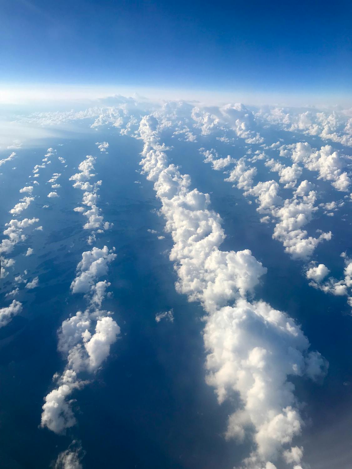 Mengubah Keterbatasan Menjadi Kekuatan: Kisah Al Faqry, Siswa Sekolah Rakyat dengan Mimpi Dokter yang Menggugah Hati!