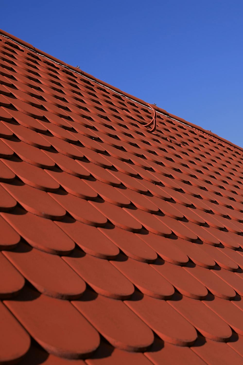 Semangat Padang Bangkit: Wali Kota Pimpin Armada Pembersihan Pascabencana, Pelajaran Solidaritas untuk Kita Semua!