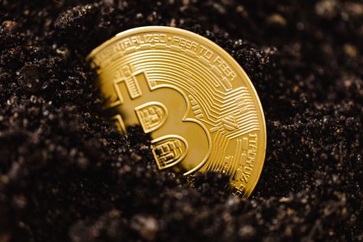 Geopolitik dan Kripto: Mengapa Komentar Tom Cotton tentang Iran Penting bagi Investor Anda