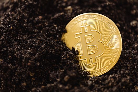 Transparansi ESG Melalui Blockchain: Dampak Kula pada Investasi & Pasar Berkembang
